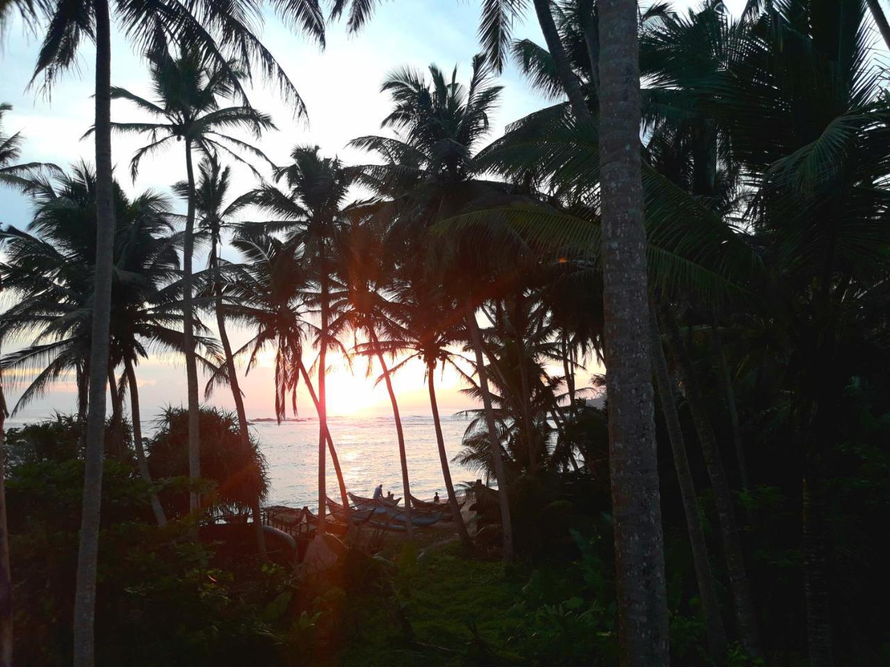 Sunray Rest - Beach View Homestay Mirissa Exteriör bild
